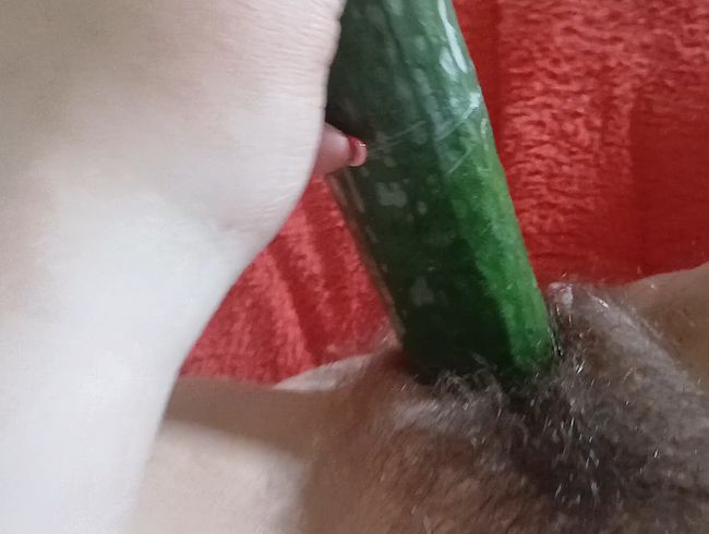 The hairy pussy fucked hard with a cucumber